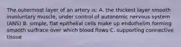 The outermost layer of an artery is: A. the thickest layer smooth involuntary muscle, under control of autonomic nervous system (ANS) B. simple, flat epithelial cells make up endothelim forming smooth surfrace over which blood flows C. supporting connective tissue