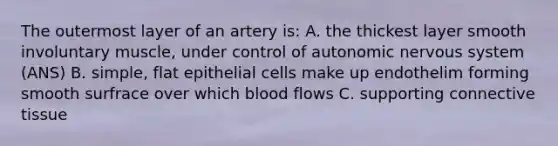 The outermost layer of an artery is: A. the thickest layer smooth involuntary muscle, under control of autonomic nervous system (ANS) B. simple, flat epithelial cells make up endothelim forming smooth surfrace over which blood flows C. supporting connective tissue