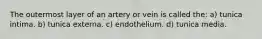 The outermost layer of an artery or vein is called the: a) tunica intima. b) tunica externa. c) endothelium. d) tunica media.