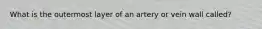 What is the outermost layer of an artery or vein wall called?