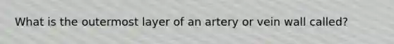 What is the outermost layer of an artery or vein wall called?