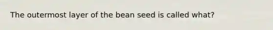 The outermost layer of the bean seed is called what?