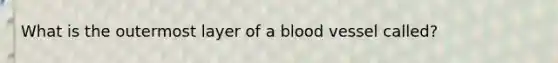 What is the outermost layer of a blood vessel called?