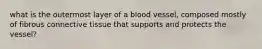 what is the outermost layer of a blood vessel, composed mostly of fibrous connective tissue that supports and protects the vessel?