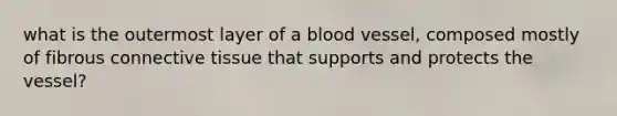 what is the outermost layer of a blood vessel, composed mostly of fibrous connective tissue that supports and protects the vessel?