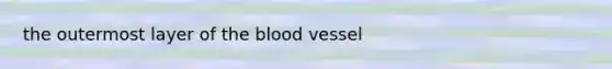 the outermost layer of <a href='https://www.questionai.com/knowledge/k7oXMfj7lk-the-blood' class='anchor-knowledge'>the blood</a> vessel