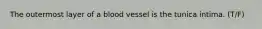The outermost layer of a blood vessel is the tunica intima. (T/F)