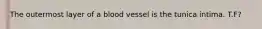 The outermost layer of a blood vessel is the tunica intima. T.F?