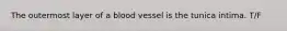 The outermost layer of a blood vessel is the tunica intima. T/F