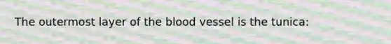 The outermost layer of the blood vessel is the tunica: