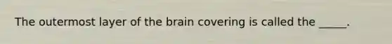 The outermost layer of the brain covering is called the _____.