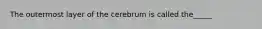 The outermost layer of the cerebrum is called the_____