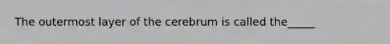 The outermost layer of the cerebrum is called the_____