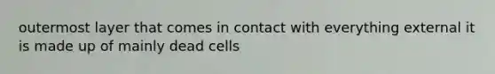 outermost layer that comes in contact with everything external it is made up of mainly dead cells