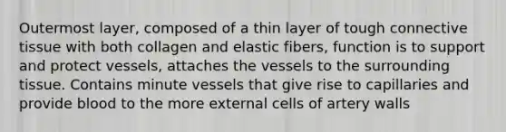 Outermost layer, composed of a thin layer of tough connective tissue with both collagen and elastic fibers, function is to support and protect vessels, attaches the vessels to the surrounding tissue. Contains minute vessels that give rise to capillaries and provide blood to the more external cells of artery walls