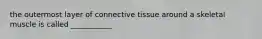 the outermost layer of connective tissue around a skeletal muscle is called ___________