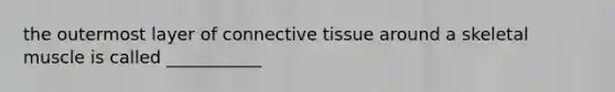 the outermost layer of connective tissue around a skeletal muscle is called ___________