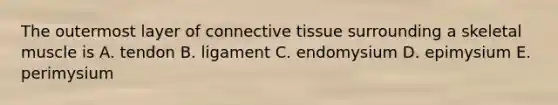 The outermost layer of connective tissue surrounding a skeletal muscle is A. tendon B. ligament C. endomysium D. epimysium E. perimysium