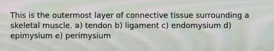 This is the outermost layer of connective tissue surrounding a skeletal muscle. a) tendon b) ligament c) endomysium d) epimysium e) perimysium