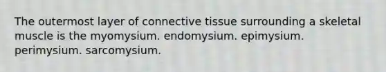 The outermost layer of connective tissue surrounding a skeletal muscle is the myomysium. endomysium. epimysium. perimysium. sarcomysium.