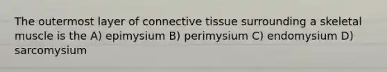 The outermost layer of connective tissue surrounding a skeletal muscle is the A) epimysium B) perimysium C) endomysium D) sarcomysium