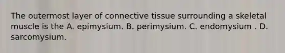 The outermost layer of connective tissue surrounding a skeletal muscle is the A. epimysium. B. perimysium. C. endomysium . D. sarcomysium.