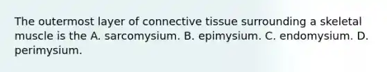 The outermost layer of connective tissue surrounding a skeletal muscle is the A. sarcomysium. B. epimysium. C. endomysium. D. perimysium.