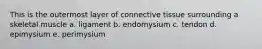 This is the outermost layer of connective tissue surrounding a skeletal muscle a. ligament b. endomysium c. tendon d. epimysium e. perimysium