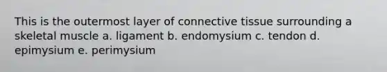 This is the outermost layer of connective tissue surrounding a skeletal muscle a. ligament b. endomysium c. tendon d. epimysium e. perimysium