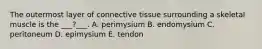 The outermost layer of connective tissue surrounding a skeletal muscle is the ___?___. A. perimysium B. endomysium C. peritoneum D. epimysium E. tendon