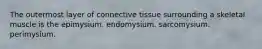 The outermost layer of connective tissue surrounding a skeletal muscle is the epimysium. endomysium. sarcomysium. perimysium.