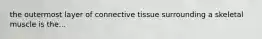 the outermost layer of connective tissue surrounding a skeletal muscle is the...