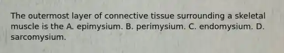 The outermost layer of <a href='https://www.questionai.com/knowledge/kYDr0DHyc8-connective-tissue' class='anchor-knowledge'>connective tissue</a> surrounding a skeletal muscle is the A. epimysium. B. perimysium. C. endomysium. D. sarcomysium.