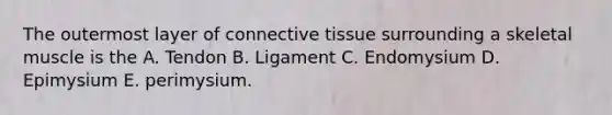 The outermost layer of connective tissue surrounding a skeletal muscle is the A. Tendon B. Ligament C. Endomysium D. Epimysium E. perimysium.