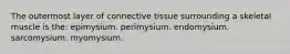 The outermost layer of connective tissue surrounding a skeletal muscle is the: epimysium. perimysium. endomysium. sarcomysium. myomysium.