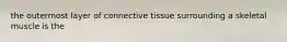 the outermost layer of connective tissue surrounding a skeletal muscle is the