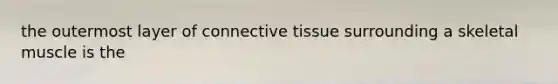 the outermost layer of connective tissue surrounding a skeletal muscle is the