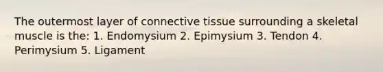 The outermost layer of <a href='https://www.questionai.com/knowledge/kYDr0DHyc8-connective-tissue' class='anchor-knowledge'>connective tissue</a> surrounding a skeletal muscle is the: 1. Endomysium 2. Epimysium 3. Tendon 4. Perimysium 5. Ligament