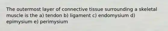 The outermost layer of connective tissue surrounding a skeletal muscle is the a) tendon b) ligament c) endomysium d) epimysium e) perimysium