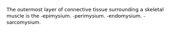 The outermost layer of connective tissue surrounding a skeletal muscle is the -epimysium. -perimysium. -endomysium. -sarcomysium.