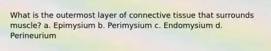 What is the outermost layer of connective tissue that surrounds muscle? a. Epimysium b. Perimysium c. Endomysium d. Perineurium