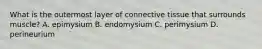 What is the outermost layer of connective tissue that surrounds muscle? A. epimysium B. endomysium C. perimysium D. perineurium