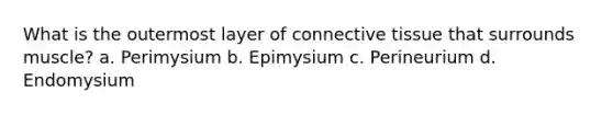 What is the outermost layer of connective tissue that surrounds muscle? a. Perimysium b. Epimysium c. Perineurium d. Endomysium