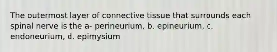 The outermost layer of connective tissue that surrounds each spinal nerve is the a- perineurium, b. epineurium, c. endoneurium, d. epimysium