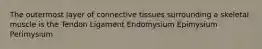 The outermost layer of connective tissues surrounding a skeletal muscle is the Tendon Ligament Endomysium Epimysium Perimysium