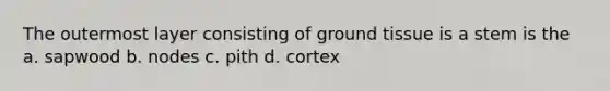 The outermost layer consisting of ground tissue is a stem is the a. sapwood b. nodes c. pith d. cortex