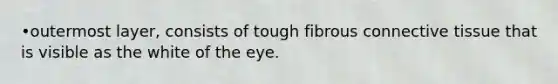 •outermost layer, consists of tough fibrous connective tissue that is visible as the white of the eye.