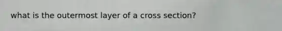 what is the outermost layer of a cross section?