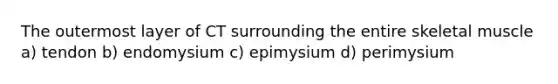 The outermost layer of CT surrounding the entire skeletal muscle a) tendon b) endomysium c) epimysium d) perimysium