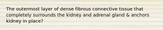 The outermost layer of dense fibrous connective tissue that completely surrounds the kidney and adrenal gland & anchors kidney in place?